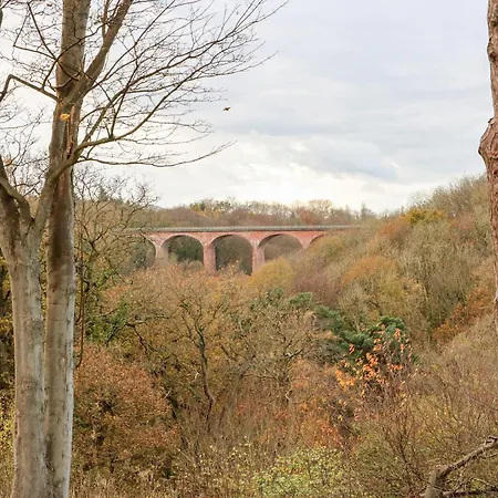 Foxglove سولتبرن باي ذا سي
