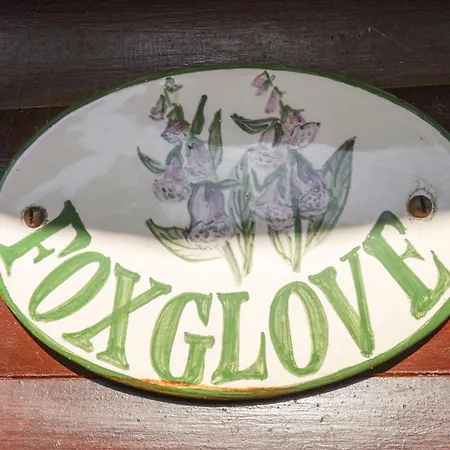 Foxglove Holiday home *