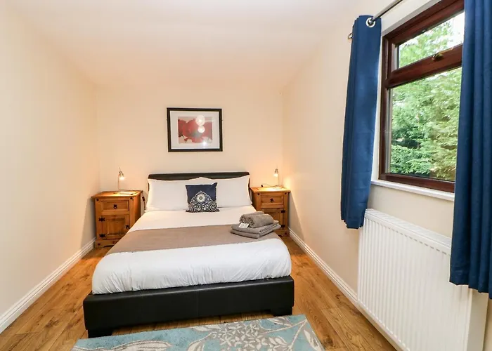 Foxglove Saltburn-by-the-Sea