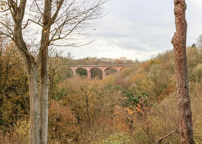 Foxglove Saltburn-by-the-Sea